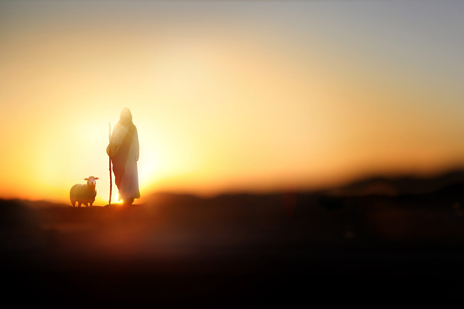 Christ is our hope in a world of fading hopes | Every Home for Christ